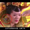 摇头摆尾什么动物